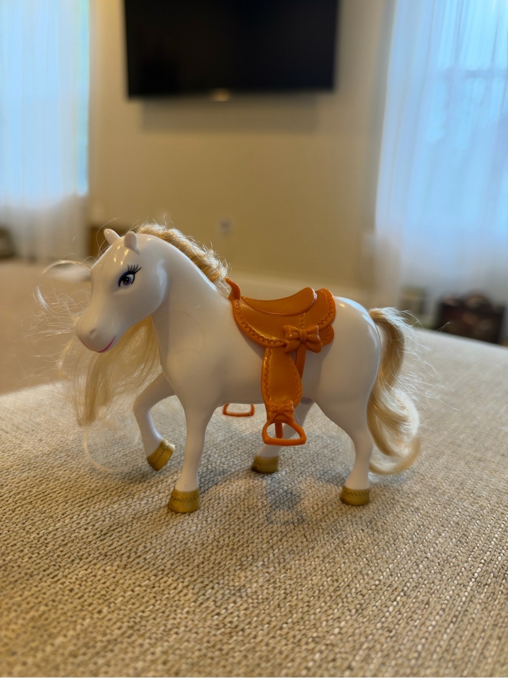 Small pony horse